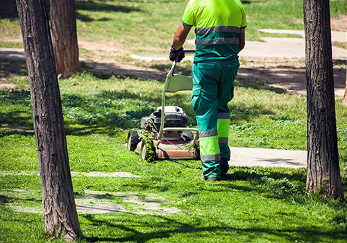 Efficient Landscape Repair Services in Lenoir City
